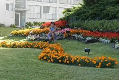 FLORES A LA ENTRADA DE PUNTA