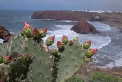 PAISAJE DEL SUR DE MARRUECOS