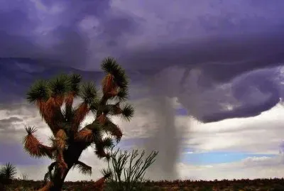 TORMENTA jigsaw puzzle