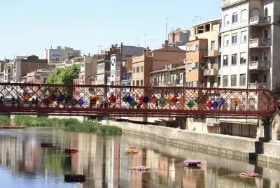 Temps de Flors 2014
