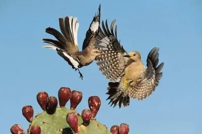 PAISAJE 2 jigsaw puzzle