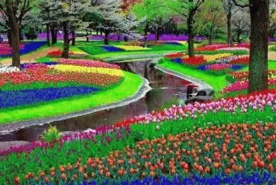 פאזל של anifur anres