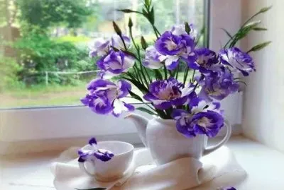 fleurs: lisianthus
