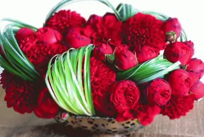 fleurs: