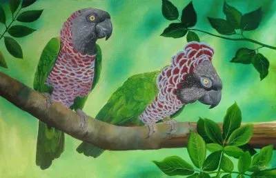 pÃ¡ssaros jigsaw puzzle