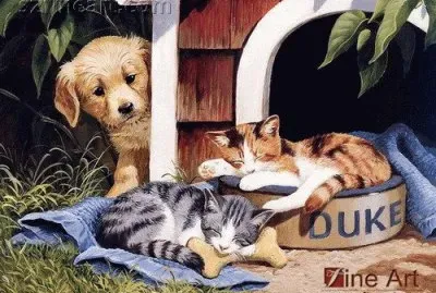 82. Amigos