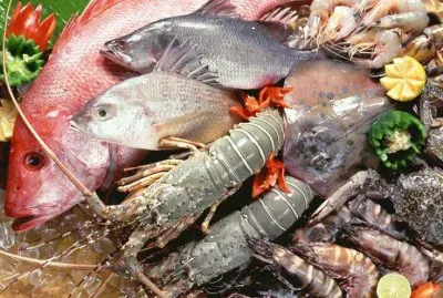 Fresh from the Sea  Manila jigsaw puzzle