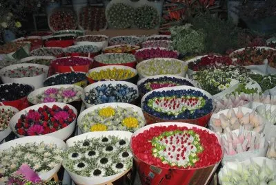 Ã©tal au marchÃ© aux fleurs