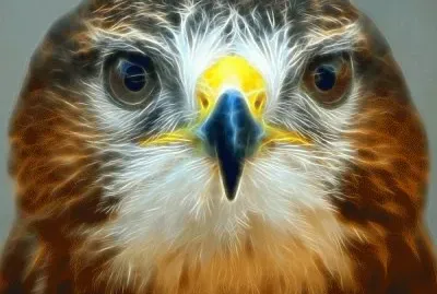 sol del desierto jigsaw puzzle