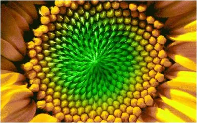 mar azul jigsaw puzzle