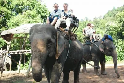 une balade Ã  dos d 'Ã©lÃ©phant