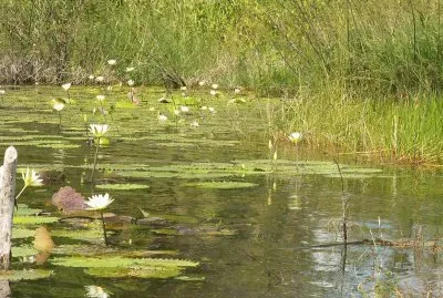 le calme de la riviÃ¨re