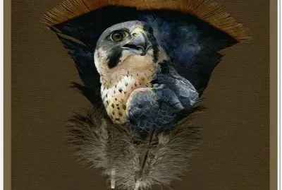 - beleza!,(o7) jigsaw puzzle