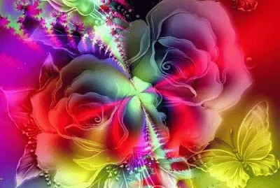 Colors and Butterflie