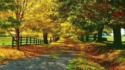 פאזל של OtoÃ±o