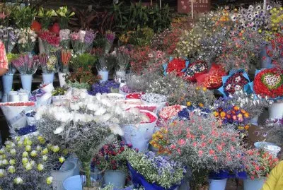 marchÃ© aux fleurs