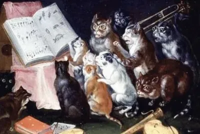 gatti a lezione di musica