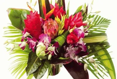 fleurs: