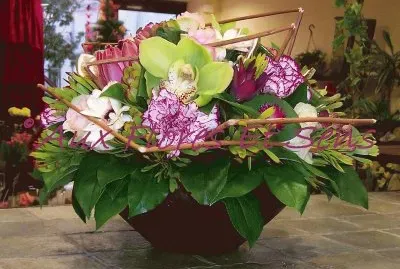 fleurs: