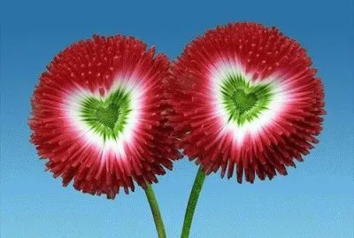 Very Unique Flower with heart jigsaw puzzle