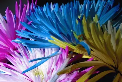 Amazing jigsaw puzzle