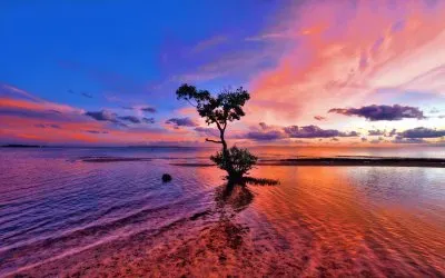 Colorful Sunset