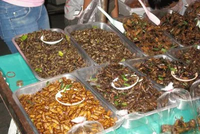 au marchÃ© nocturne
