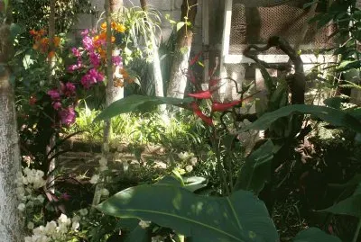 jardin cour intÃ©rieur maison