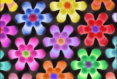 Flores