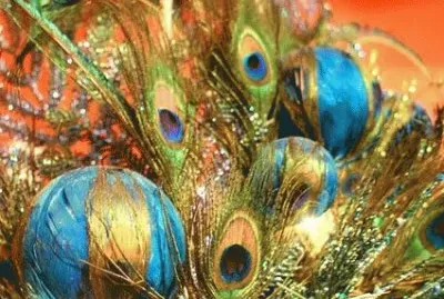 Holiday decor by Manuel Antonio