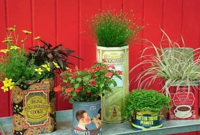 Vintage tins for House plants