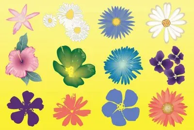 Flores jigsaw puzzle