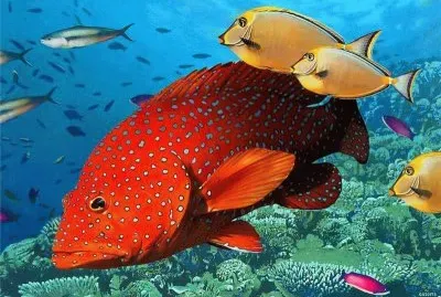poissons exotiques