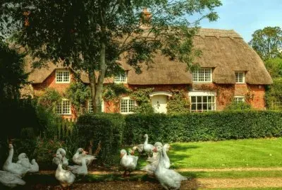 maison jigsaw puzzle