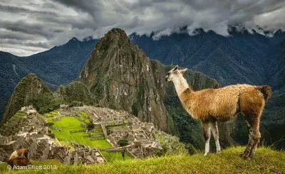 MACHUPICCHU jigsaw puzzle