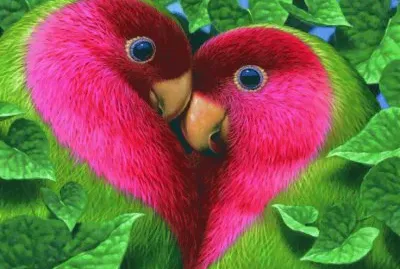 Love Birds