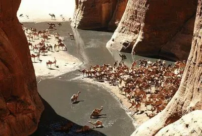 - chade,(africa).