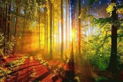 פאזל של - paisagem,( )