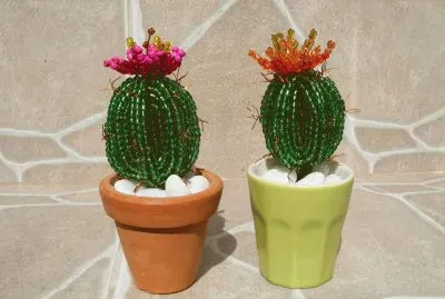 CACTOS DE MIÃ‡ANGAS jigsaw puzzle