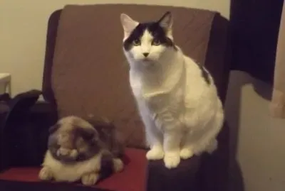 Precious