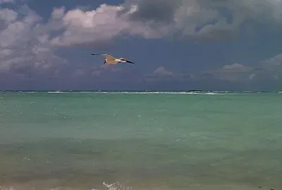 Sea - Nature jigsaw puzzle