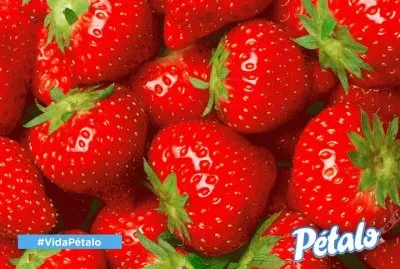 fresas