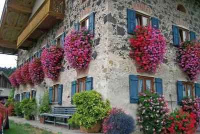 Flowerful view jigsaw puzzle