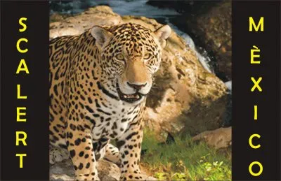 Ã‘UGARES EN EL MUNDO