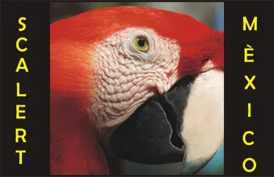 SCARLET 4 jigsaw puzzle