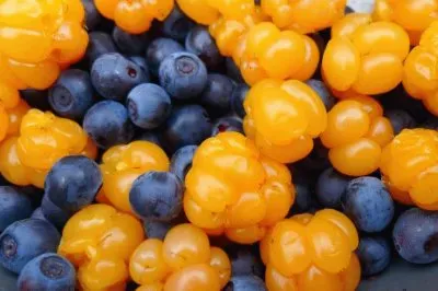פאזל של Blueberries and Cloudberries