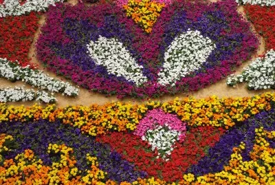 TAPETE DE FLORES