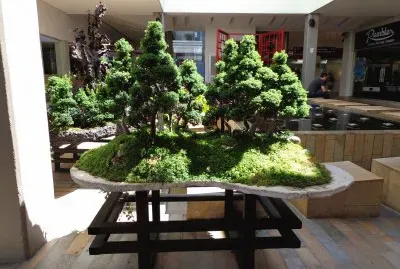 BONSAI