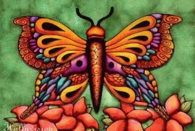 889 Mariposa jigsaw puzzle