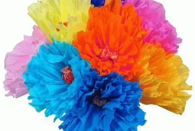 Mexican Paper Flowers